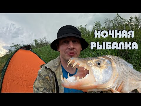 Видео: Рыбалка на Ставропольском канале.