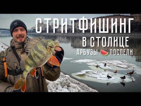 Видео: ТОЛСТЫЕ ОКУНИ Москвы! СТРИТФИШИНГ. Весенняя рыбалка.
