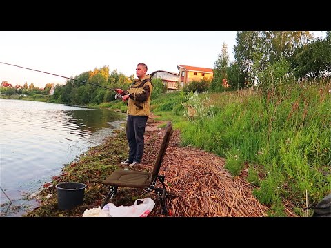 Видео: ФИДЕРНАЯ РЫБАЛКА НА НЕВЕ | МОНТАЖ ИНЛАЙН