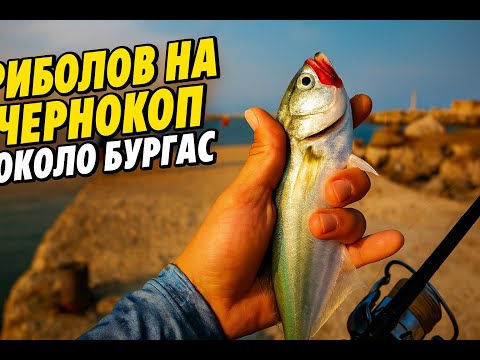 Видео: Риболов на Пролетен Чернокоп, около Бургас.