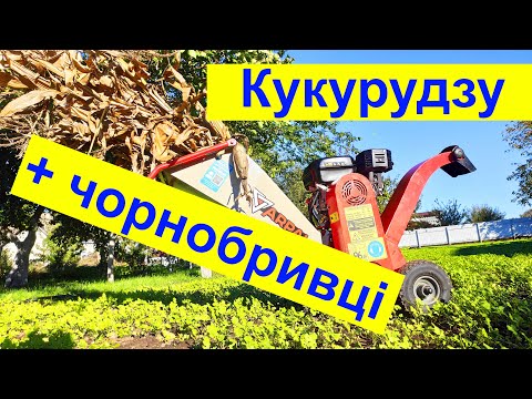 Видео: Він як КОМБАЙН, все подавай! Щепоріз АРПАЛ робить мульчу із кукурудзи та чорнобривців.