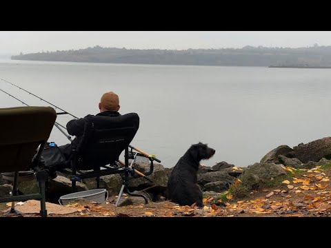 Видео: Фидерная рыбалка осенью. Рыбалка в октябре на Днепре. Ловля карася и плотвы на фидер осенью.