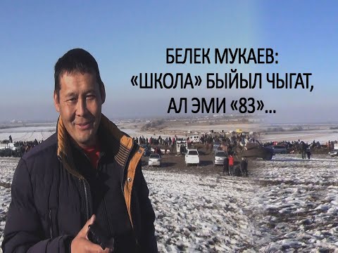 Видео: Белек Мукаев "83" аргымагы каякта экенин айтты