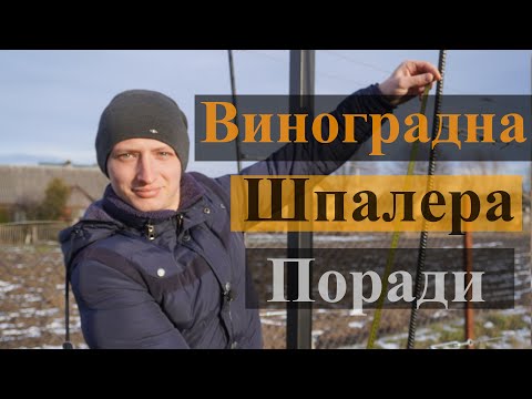 Видео: Двохплощинна шпалера для винограду. Металева шпалера для столового винограду. Як зробити?