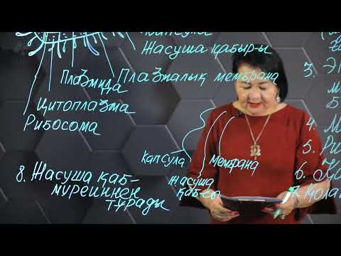 Видео: Бактериялар, саңырауқұлақтар жасушасының құрылысы мен қызметінің ерекшеліктері. 2 бөлім. 10 сынып.