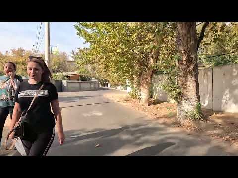 Видео: Чиланзар 6 квартал. Школа 178. Школа 182.