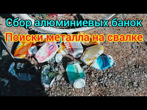 Видео: Сбор алюминиевых банок + Свалка