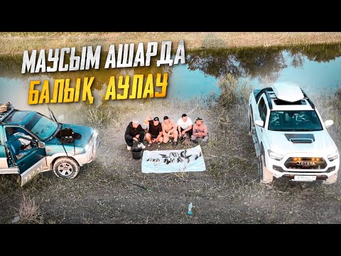 Видео: МАУСЫМ АШАР! | Сырдария өзенінен балық аулау | САЗАН, ЖЫЛАНБАЛЫҚ, Көксерке, Ақсыла