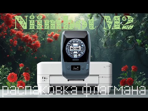 Видео: Niimbot M2 - флагманский принтер Нимбот, единственный термо-трансферный принтер с "золотой" печатью
