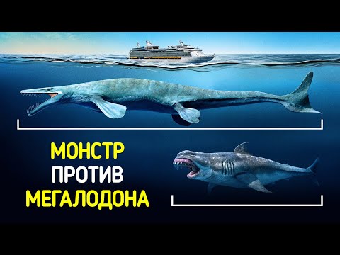 Видео: Эта морская рептилия — самая большая из когда-либо обнаруженных в мире. Интересные факты о животных