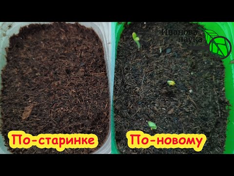 Видео: ЖАЛЕЮ, что РАНЬШЕ ТАК НЕ ГОТОВИЛ ГРУНТ! Теперь сею ТОЛЬКО ТАК! Удивительный результат по всхожести.