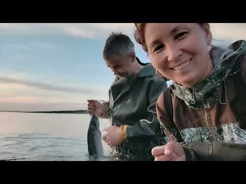 Видео: РЫБА с МОРЯ и сразу в духовку.