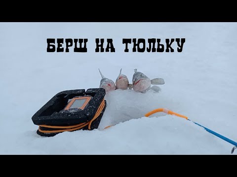 Видео: ЛОВЛЯ БЕРША НА ВОЛГЕ НА БЛЕСНУ С ПОДСАДКОЙ ТЮЛЬКИ | ПОГОДА ЖЕСТЬ,А Я НА РЫБАЛКЕ.