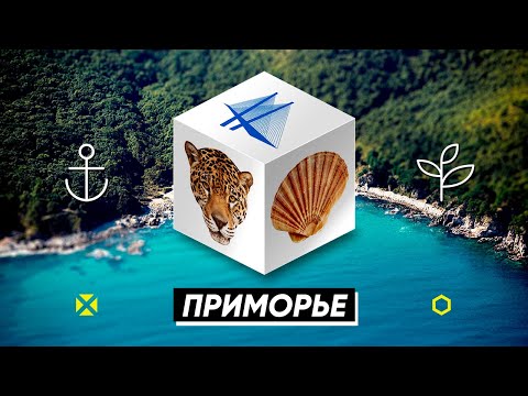 Видео: Приморье: Альтернативный юг / Неправильное путешествие #43