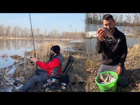 Видео: ПЛОТВА ПІШЛА!!! На Десні Розрив