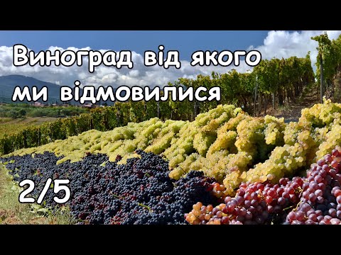 Видео: Виноград від якого ми відмовились 2/5