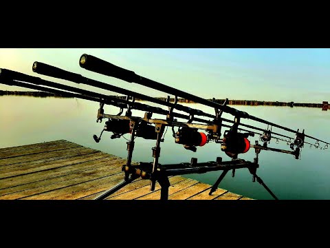 Видео: Осенняя РЫБАЛКА на КАРПА с НОЧЁВКОЙ