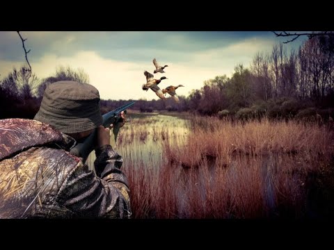 Видео: 🎯 Лайфхак #20 от Дмитрия Ильенко | Сила вертикального упреждения