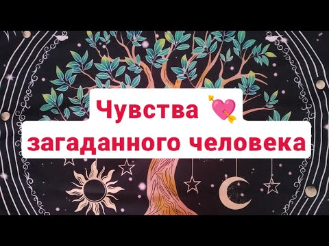 Видео: ❤ Чувства загаданного человека к вам 🥰