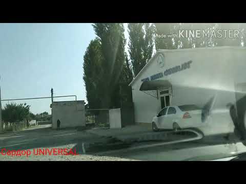 Видео: Массив заря Янгиюль