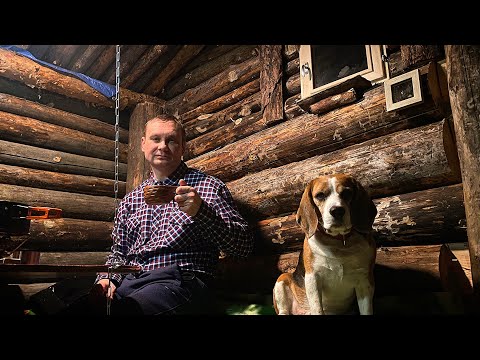 Видео: ВОЛШЕБСТВО ПЕРВОГО СНЕГА ❄️ ДОМОВОЙ ВЕРНУЛСЯ В ЗЕМЛЯНКУ 🏡 КОМФОРТНАЯ ЖИЗНЬ В ЛЕСУ 🌳
