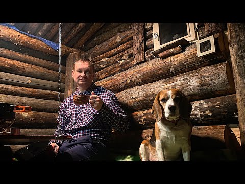 Видео: ВОЛШЕБСТВО ПЕРВОГО СНЕГА ❄️ ДОМОВОЙ ВЕРНУРСЯ В ЗЕМЛЯНКУ 🏡 КОМФОРТНАЯ ЖИЗНЬ В ЛЕСУ 🌳