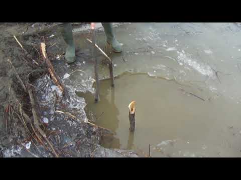 Видео: Установка проходного капкана  кп 320 на бобра