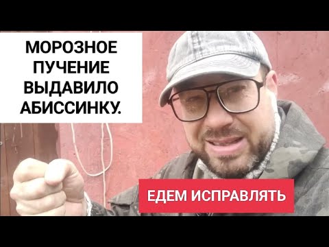 Видео: Морозное пучение грунта, убило скважину. Едем исправлять по гарантии.