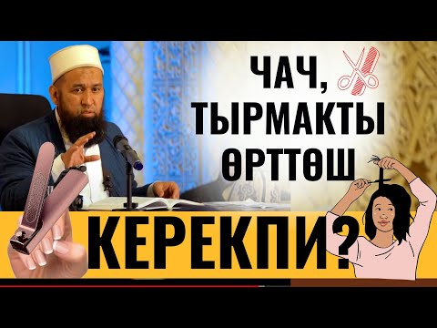 Видео: ЧАЧ, ТЫРМАКТЫ ӨРТТӨШ КЕРЕКПИ?  СУРОО-ЖООП