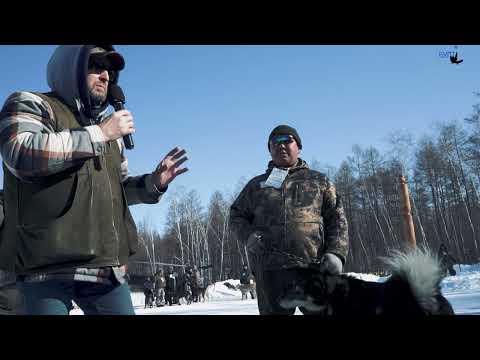 Видео: Саха ыта. Выставка 2025. Кобели, младшая группа.
