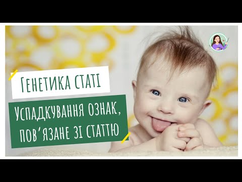 Видео: Генетика статі. Успадкування, зчеплене зі статтю.