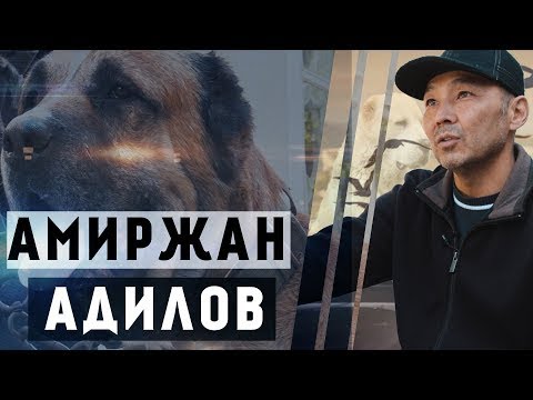 Видео: Амиржан Адилов и его питомцы