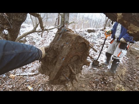 Видео: ЗДЕСЬ МЕГАТОННЫ МЕТАЛЛА! ДВИЖКИ, ГУСЯНКИ, ВАЛЫ, МЫ ВСЕ В АХУ...ОТ ЭТОГО МЕСТА!