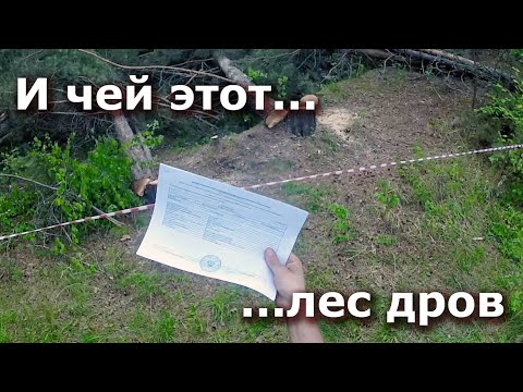 Видео: Расчистка участка от леса - какие документы оформлять