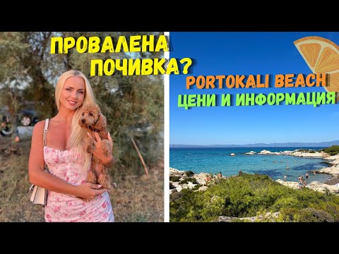 Видео: Последни летни, гръцки дни - Ситония | Portokali Beach 🍊🇬🇷