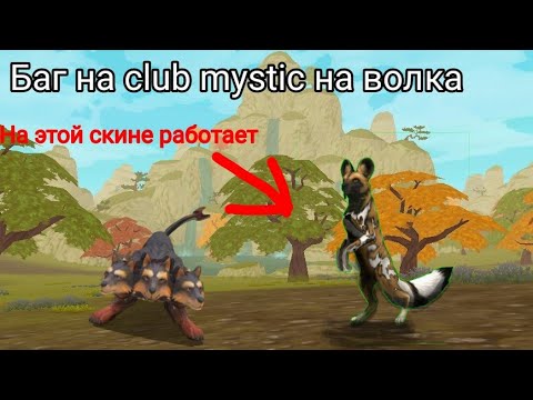 Видео: Баг на Club Mystic волка в wildcraft