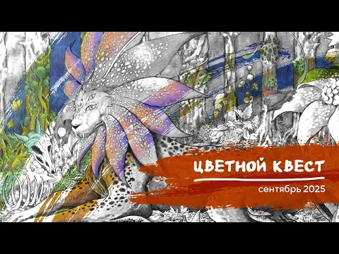 Видео: Цветной квест, сентябрь 2025