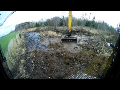 Видео: Очистка русла реки от бобровой плотины Длинноруким экскаватором