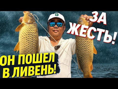 Видео: РЫБАЛКА НА РЕКЕ ИЛИ ПОЛНЫЙ ТРЕШ НА РЫБАЛКЕ - НО САЗАН НЕ ПОДВЕЛ !. 23 ИЮНЯ 2025 ГОДА