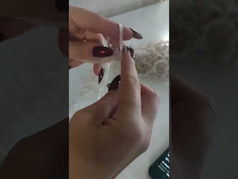 Видео: Начало нового проекта 29.10.2025