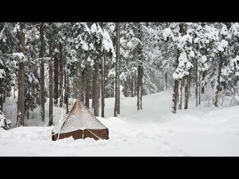 Видео: Одиночный кемпинг в горячей палатке в густом заснеженном лесу