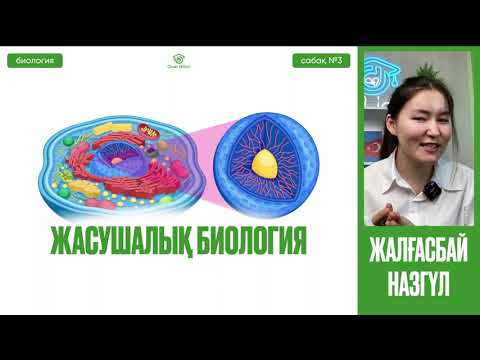 Видео: №3 Биология / ҰБТ / НҰСҚА ТАЛДАУ    Мембранасыз органоидтар