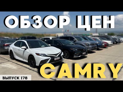 Видео: TOYOTA CAMRY . Актуальные цены . Ранок Автопапа . Аукционы США . АвтоТур в Грузию .Мастер Вадя.#top