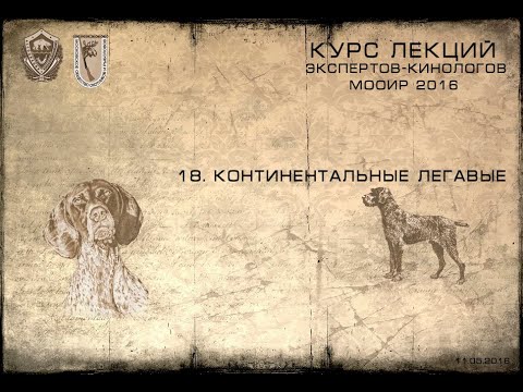 Видео: Лекция 18 Континентальные легавые. (Курсы экспертов-кинологов МООиР 2016)