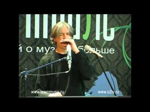 Видео: Говард Леви (Howard Levy). Губная гармоника. | LearnMusic.