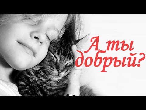 Видео: Добрый ли Вы человек? Тест с веселым котом #Джемом