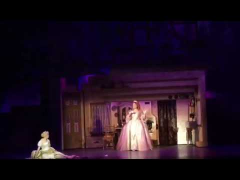 Видео: Сюжет мюзикла "Золушка ", следуйте за мечтой.