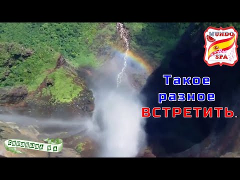Видео: 207. Такое разное  ВСТРЕТИТЬ.