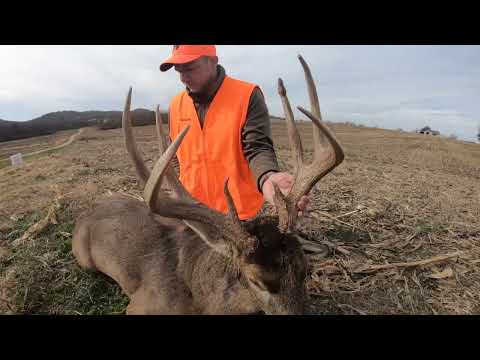 Видео: Видео «Легенда Винчестера 350 против 400» | Журнал Hook & Barrel