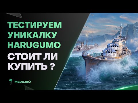 Видео: УНИКАЛЬНЫЙ HARUGUMO ● ПОСЛЕ БОЛЬНИЧКИ